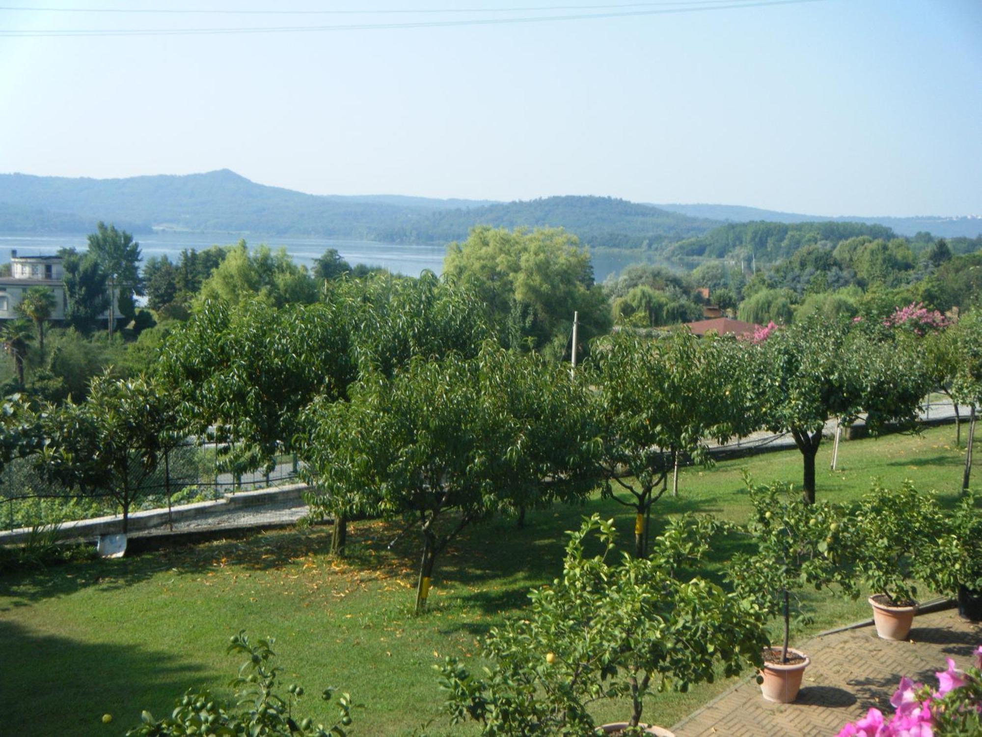 B&B Il Gufetto Вивероне Экстерьер фото